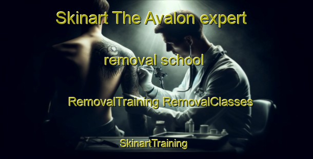 Skinart The Avalon expert removal school | #RemovalTraining #RemovalClasses #SkinartTraining-New Zealand