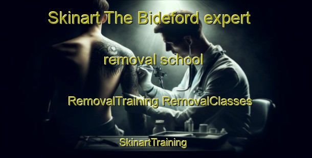 Skinart The Bideford expert removal school | #RemovalTraining #RemovalClasses #SkinartTraining-New Zealand