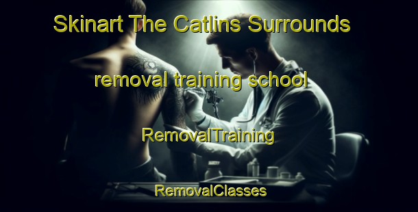 Skinart The Catlins Surrounds removal training school | RemovalTraining | RemovalClasses | SkinartTraining-New Zealand