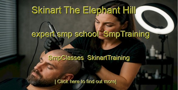 Skinart The Elephant Hill expert smp school | SmpTraining | SmpClasses | SkinartTraining-New Zealand