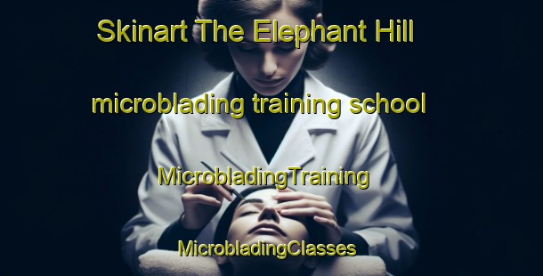 Skinart The Elephant Hill microblading training school | MicrobladingTraining | MicrobladingClasses | SkinartTraining-New Zealand