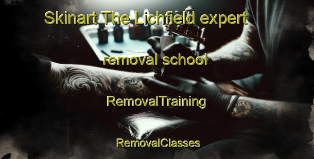 Skinart The Lichfield expert removal school | RemovalTraining | RemovalClasses | SkinartTraining-New Zealand