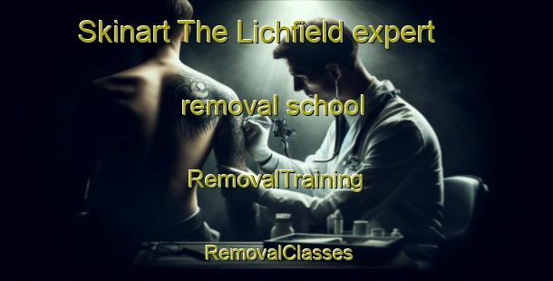 Skinart The Lichfield expert removal school | RemovalTraining | RemovalClasses | SkinartTraining-New Zealand