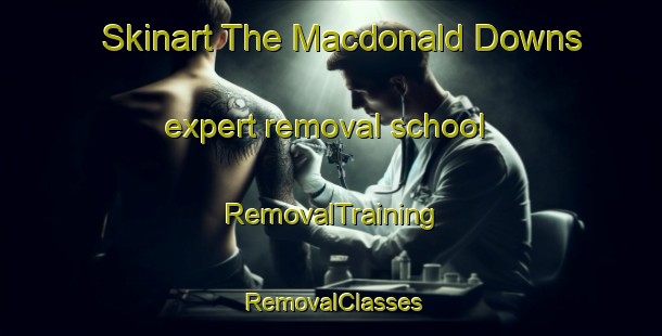 Skinart The Macdonald Downs expert removal school | RemovalTraining | RemovalClasses | SkinartTraining-New Zealand
