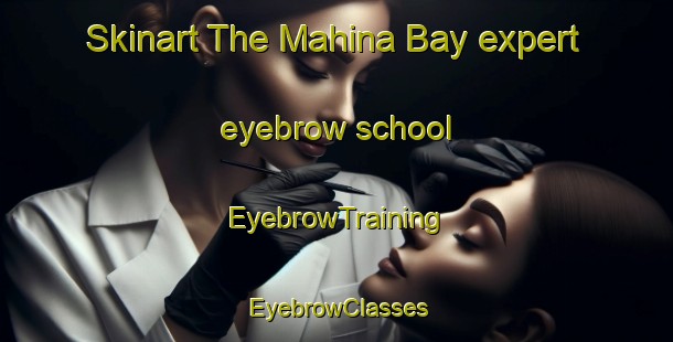Skinart The Mahina Bay expert eyebrow school | EyebrowTraining | EyebrowClasses | SkinartTraining-New Zealand
