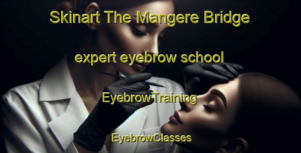 Skinart The Mangere Bridge expert eyebrow school | EyebrowTraining | EyebrowClasses | SkinartTraining-New Zealand