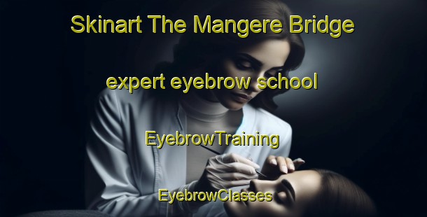 Skinart The Mangere Bridge expert eyebrow school | EyebrowTraining | EyebrowClasses | SkinartTraining-New Zealand