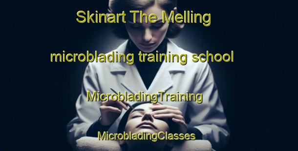 Skinart The Melling microblading training school | MicrobladingTraining | MicrobladingClasses | SkinartTraining-New Zealand
