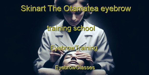 Skinart The Otamatea eyebrow training school | EyebrowTraining | EyebrowClasses | SkinartTraining-New Zealand