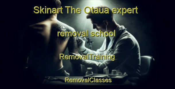 Skinart The Otaua expert removal school | RemovalTraining | RemovalClasses | SkinartTraining-New Zealand