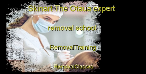 Skinart The Otaua expert removal school | RemovalTraining | RemovalClasses | SkinartTraining-New Zealand