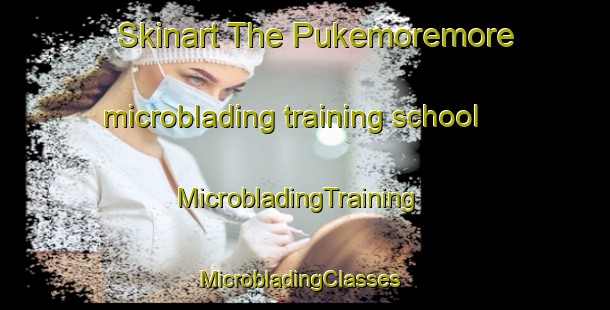 Skinart The Pukemoremore microblading training school | MicrobladingTraining | MicrobladingClasses | SkinartTraining-New Zealand