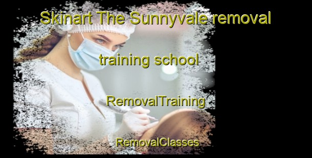Skinart The Sunnyvale removal training school | RemovalTraining | RemovalClasses | SkinartTraining-New Zealand