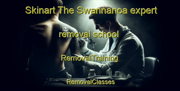 Skinart The Swannanoa expert removal school | RemovalTraining | RemovalClasses | SkinartTraining-New Zealand