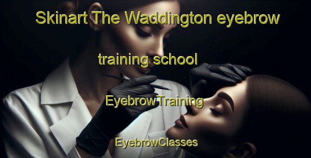 Skinart The Waddington eyebrow training school | EyebrowTraining | EyebrowClasses | SkinartTraining-New Zealand