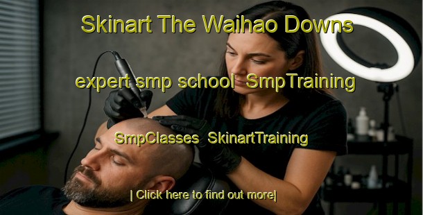 Skinart The Waihao Downs expert smp school | SmpTraining | SmpClasses | SkinartTraining-New Zealand