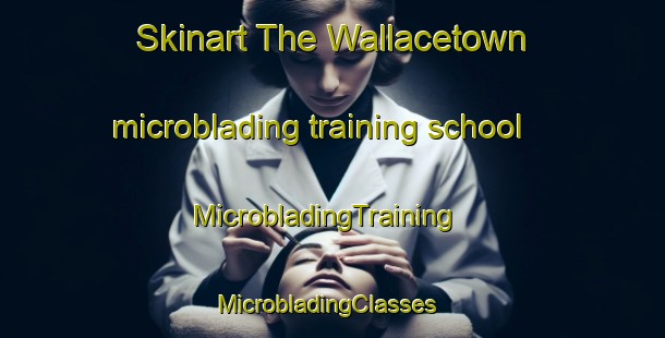 Skinart The Wallacetown microblading training school | MicrobladingTraining | MicrobladingClasses | SkinartTraining-New Zealand