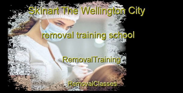 Skinart The Wellington City removal training school | RemovalTraining | RemovalClasses | SkinartTraining-New Zealand