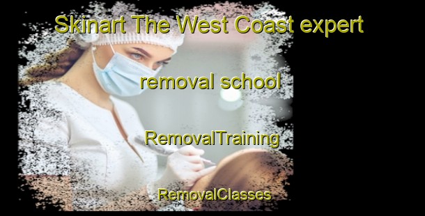 Skinart The West Coast expert removal school | RemovalTraining | RemovalClasses | SkinartTraining-New Zealand