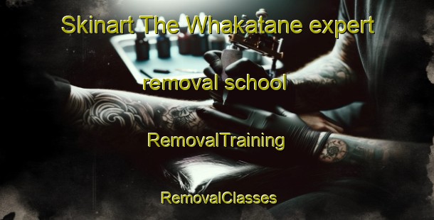 Skinart The Whakatane expert removal school | RemovalTraining | RemovalClasses | SkinartTraining-New Zealand