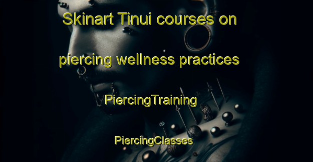 Skinart Tinui courses on piercing wellness practices | PiercingTraining | PiercingClasses | SkinartTraining-New Zealand