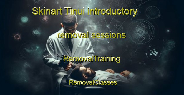 Skinart Tinui introductory removal sessions | RemovalTraining | RemovalClasses | SkinartTraining-New Zealand