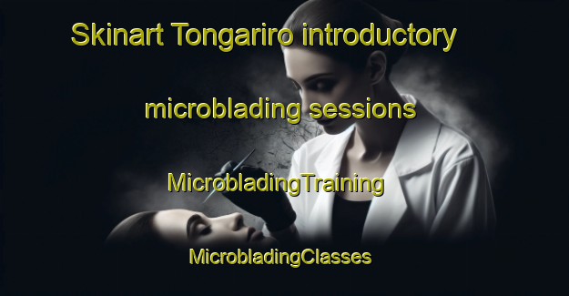Skinart Tongariro introductory microblading sessions | MicrobladingTraining | MicrobladingClasses | SkinartTraining-New Zealand