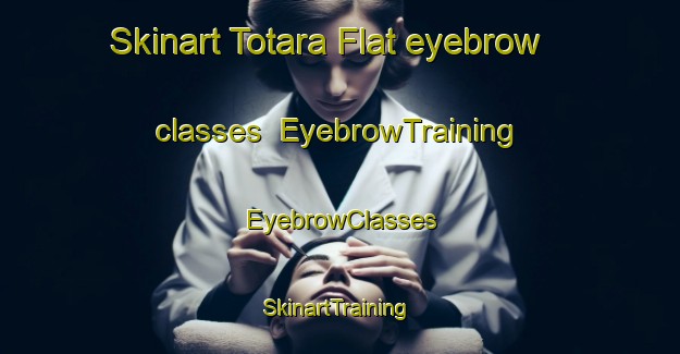 Skinart Totara Flat eyebrow classes | EyebrowTraining | EyebrowClasses | SkinartTraining-New Zealand