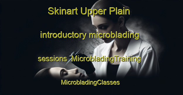 Skinart Upper Plain introductory microblading sessions | MicrobladingTraining | MicrobladingClasses | SkinartTraining-New Zealand