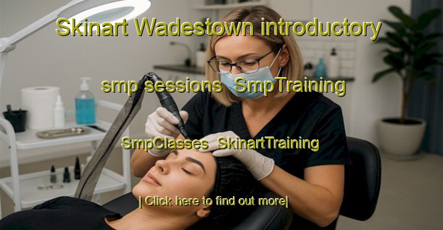 Skinart Wadestown introductory smp sessions | SmpTraining | SmpClasses | SkinartTraining-New Zealand