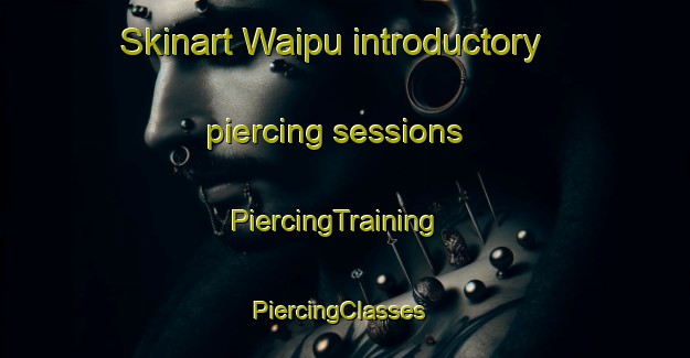 Skinart Waipu introductory piercing sessions | PiercingTraining | PiercingClasses | SkinartTraining-New Zealand