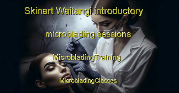 Skinart Waitangi introductory microblading sessions | MicrobladingTraining | MicrobladingClasses | SkinartTraining-New Zealand