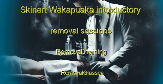 Skinart Wakapuaka introductory removal sessions | RemovalTraining | RemovalClasses | SkinartTraining-New Zealand