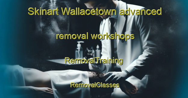 Skinart Wallacetown advanced removal workshops | RemovalTraining | RemovalClasses | SkinartTraining-New Zealand