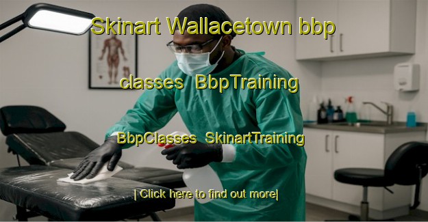 Skinart Wallacetown bbp classes | BbpTraining | BbpClasses | SkinartTraining-New Zealand