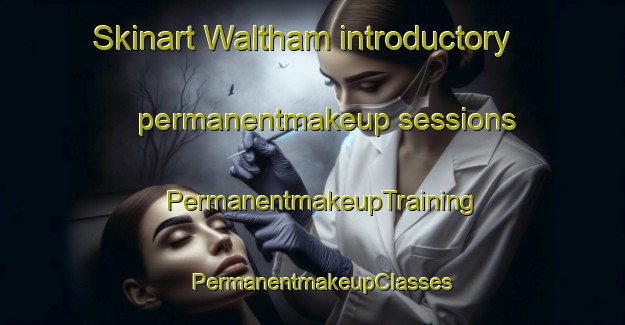 Skinart Waltham introductory permanentmakeup sessions | PermanentmakeupTraining | PermanentmakeupClasses | SkinartTraining-New Zealand