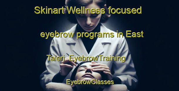 Skinart Wellness-focused eyebrow programs in East Taieri | EyebrowTraining | EyebrowClasses | SkinartTraining-New Zealand