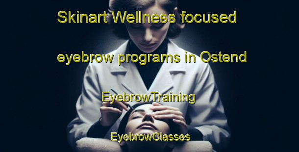 Skinart Wellness-focused eyebrow programs in Ostend | EyebrowTraining | EyebrowClasses | SkinartTraining-New Zealand