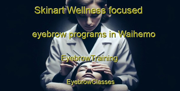 Skinart Wellness-focused eyebrow programs in Waihemo | EyebrowTraining | EyebrowClasses | SkinartTraining-New Zealand