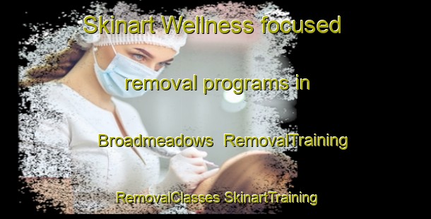 Skinart Wellness-focused removal programs in Broadmeadows | #RemovalTraining #RemovalClasses #SkinartTraining-New Zealand