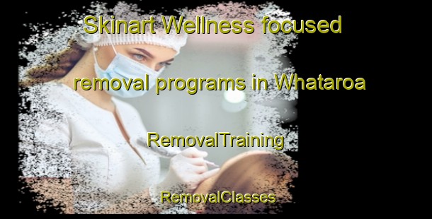 Skinart Wellness-focused removal programs in Whataroa | RemovalTraining | RemovalClasses | SkinartTraining-New Zealand