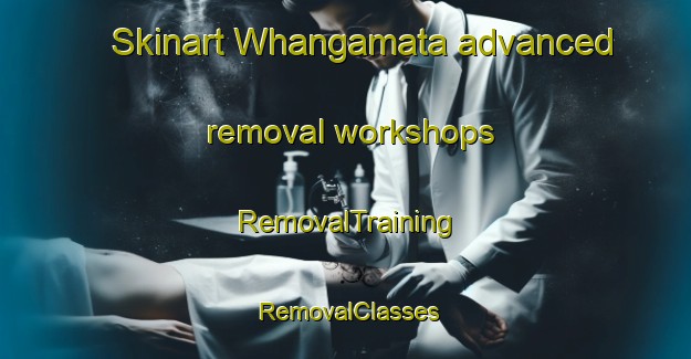 Skinart Whangamata advanced removal workshops | RemovalTraining | RemovalClasses | SkinartTraining-New Zealand