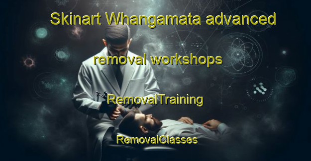 Skinart Whangamata advanced removal workshops | RemovalTraining | RemovalClasses | SkinartTraining-New Zealand