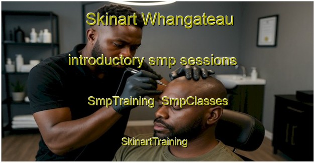 Skinart Whangateau introductory smp sessions | SmpTraining | SmpClasses | SkinartTraining-New Zealand